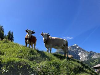 Wanderung Gstaad - Louenensee