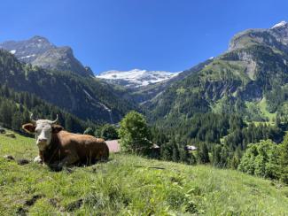 Wanderung Gstaad - Louenensee